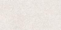 Sandstone Белый Матовый R10a 60x120