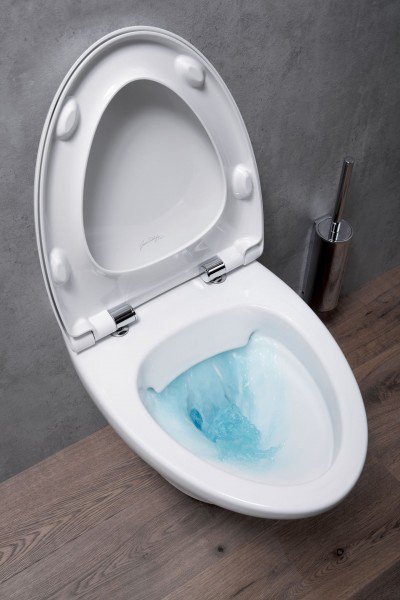 EDJ102-00 унитаз подвесной NOUVELLE VAGUE  безободковый /54х39х41/(белый) 