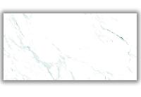  Teal Statuario 60x120