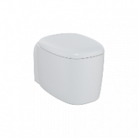 Plural Rim-Ex безободковый подвесной унитаз, цвет матовый белый