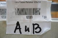 Onix Chiaro Polished 120x278