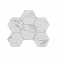 Мозаика MN01 Hexagon 25x28,5 полир.