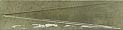 BARI GREEN DECOR/6X24,6 