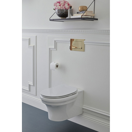 EDZ102-0 CLEO Чаша подвесного безободкового унитаза, белый 