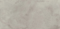 Monza  Grey 60x120 натуральный