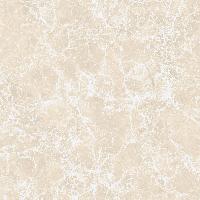  Imperatore Beige Polished 60x60