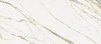 Стеллариус Калакатта Голд 120x278