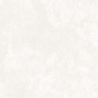 Central Park White Matt. 60x60