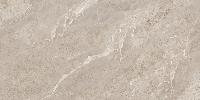 Rome Taupe Polished 60x120