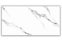  Indio Statuario 60x120