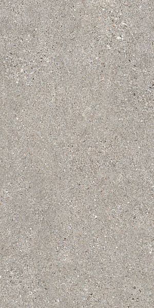 MANHATTAN GREY AS/60X120X0,9/C/R 