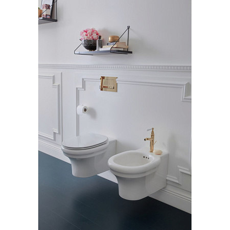 EDZ102-0 CLEO Чаша подвесного безободкового унитаза, белый 