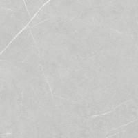 Allure Light Grey Anti-Slip 60x60