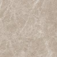 Frappuccino Taupe Polished 120x120