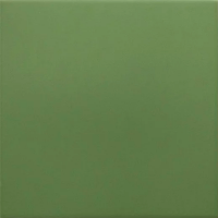  30716 RIVOLI Green 20x20 см