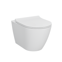 Подвесной безободковый SmoothFlush унитаз
Sanibelle