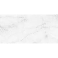 Плитка Antisky Grey light 60x120 Polished (2 шт.в уп)