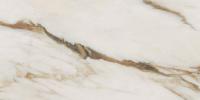 Sensi Signoria  неглазурованный (UGL) Calacatta Vena Oro 60x120 полированный