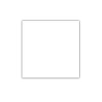  Superwhite matt глазурованный 60x60 (1,44)