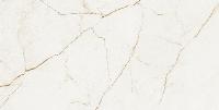 Forte Dei Marmi Quark  Sahara Blanc 80x160 натуральный