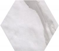 Roma Statuario Esagono Matt 25x21.6