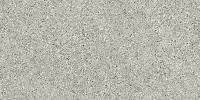 Форум Стоун Сильвер 60x120