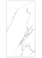  Athens Polished Gold Carving 60x120