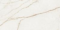 Forte Dei Marmi Quark  Sahara Blanc 60x120 патинированный