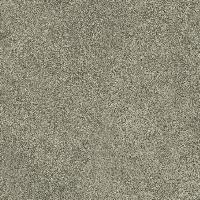 Levels Forest Matt 20x20