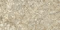 Forte Dei Marmi Quark  Brazilian Gold 60x120 натуральный