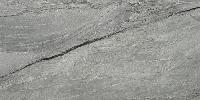   Marble Platinum Gris 60x120 (2,16)