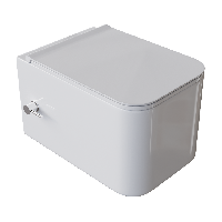 Унитаз подвесной с функцией биде, Mane Белый глянец c крышкой