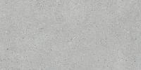 Флэйкцемент Серый Матовый R10a 60x120