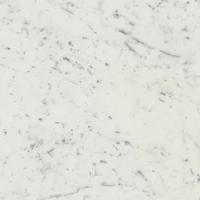 ШАР.ЭКС.КАРРАРА СПИГОЛО ПАТ.А.Е.