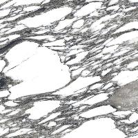 Marvel Grey Polished 60x60