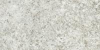 Forte Dei Marmi Quark  Brazilian White 80x160 натуральный