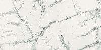   Charme Deluxe Floor Project  Invisible White 60x120 патинированный