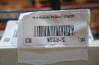 Onix Delicato Polished 120x278