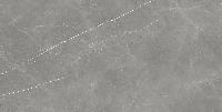 Forte Dei Marmi  Elegant Grey 80x160 натуральный