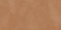 Terraviva Cannella Opaco 40x80