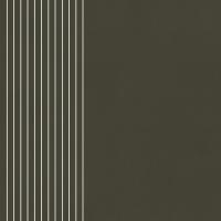 Cava Green Pattern 3 60c 60x60