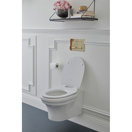 EDZ102-0 CLEO Чаша подвесного безободкового унитаза, белый 