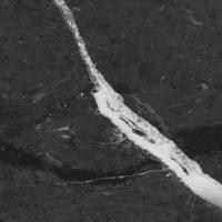 Cosmos Черный 60x60