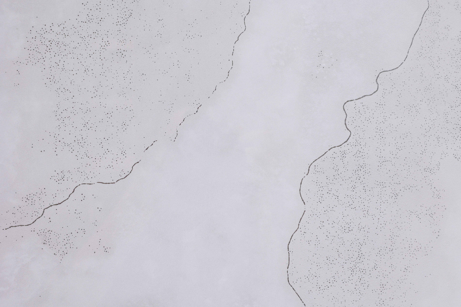  Tripoli Polished Silver Carving 60x120 (1,44)