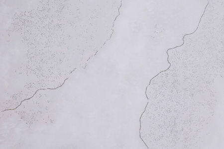  Tripoli Polished Silver Carving 60x120 (1,44) 