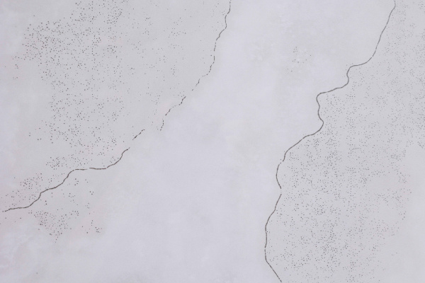  Tripoli Polished Silver Carving 60x120 (1,44) 