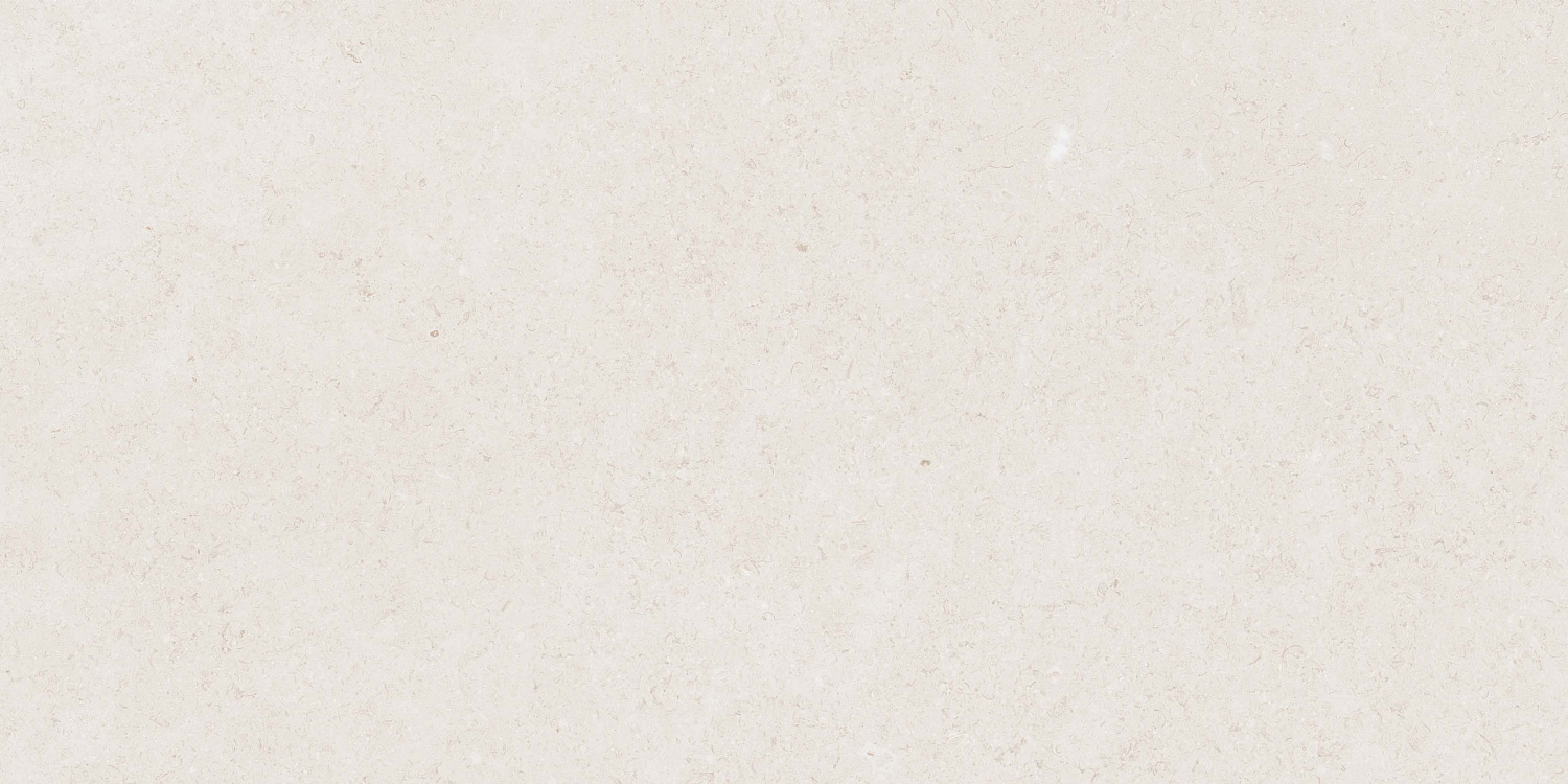  Mistic Light Grey Gloss 60x120 (1,44)