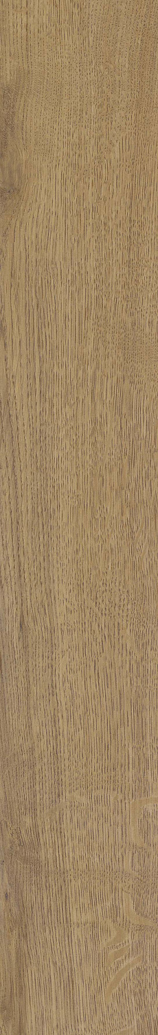   SGR51 Velaris Honey 9,2x60 (0,6)