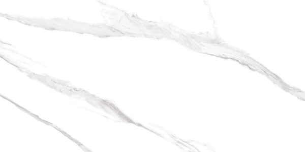  Albeta Statuario 60x120 