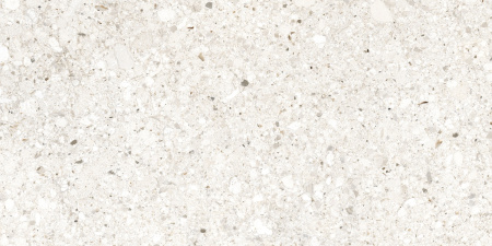 Бьянкоромано Слоновая Кость Матовый R10a 60x120 